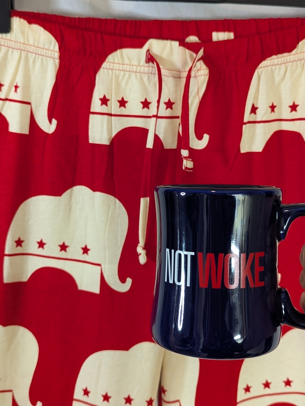 Bill O'REILLY Not Woke 13oz Coffee Tea Mug